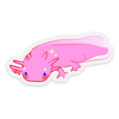 Axolotl